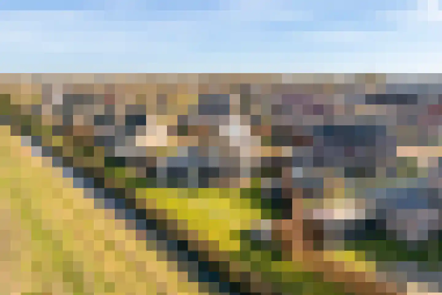 Korenbloemweg 40 Havelte thumbnail 6