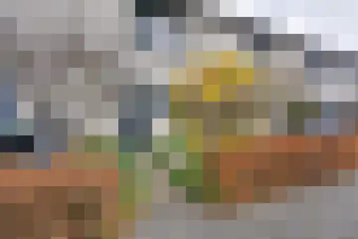 Korenbloemweg 41 Almere