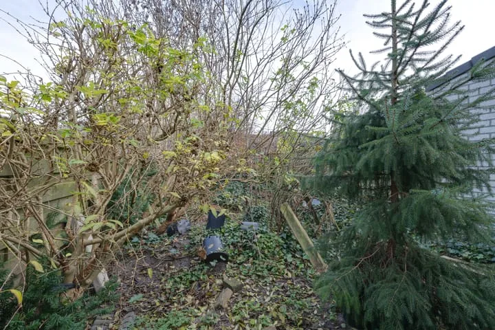 Korenbloemweg 41 Almere thumbnail 24