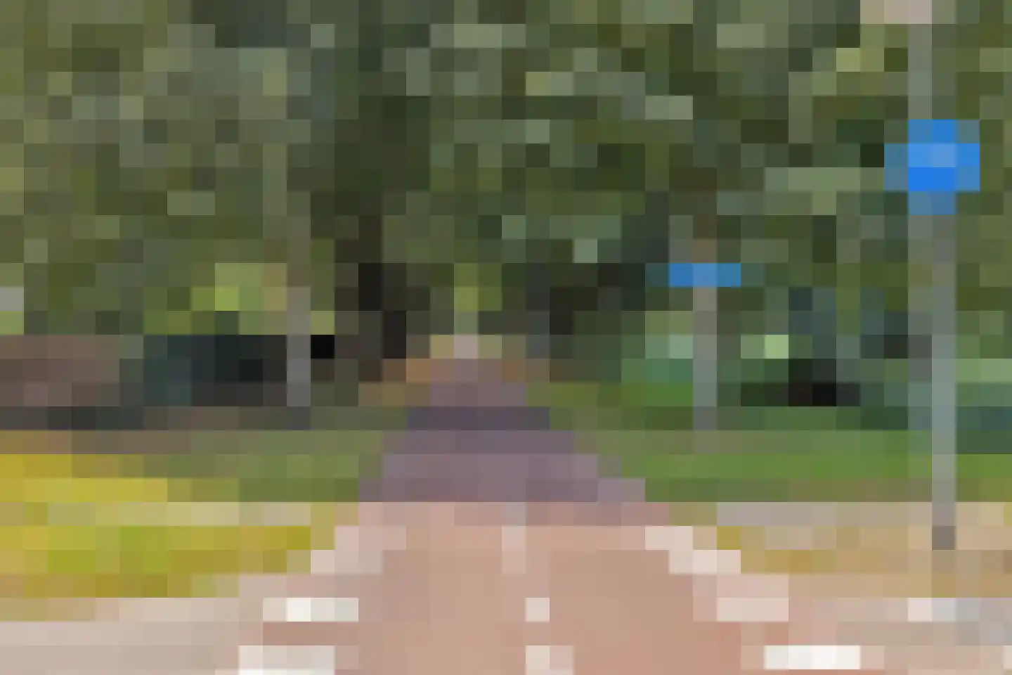 Korenbloemweg 86 Almere thumbnail 37