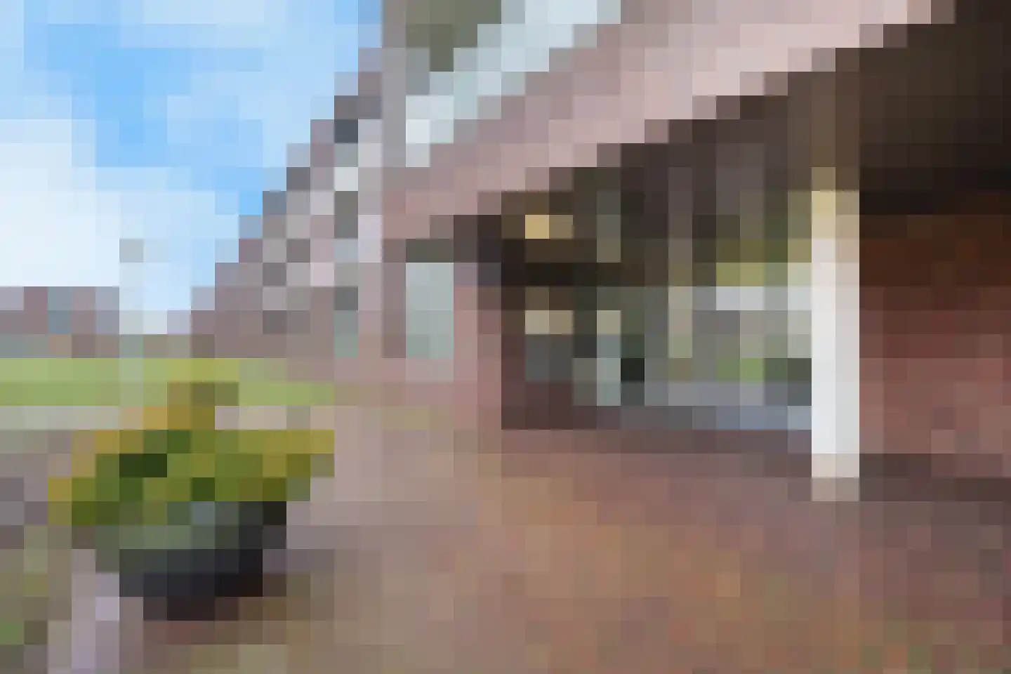 Korendijk 21 Rotterdam thumbnail 24