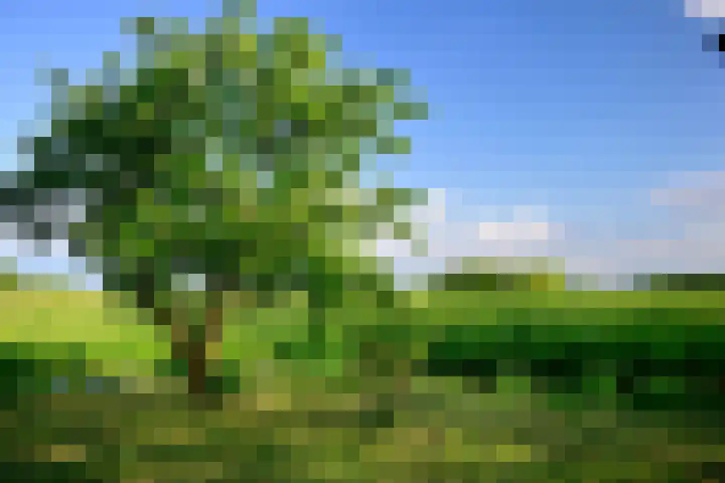 Korendijk 3 Driehuizen thumbnail 23
