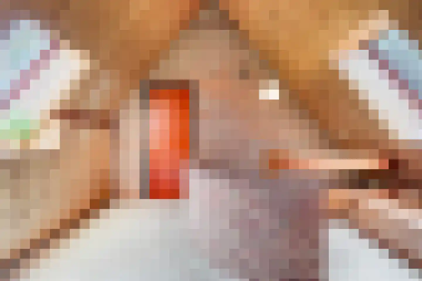 Korendijk 3 Driehuizen thumbnail 25