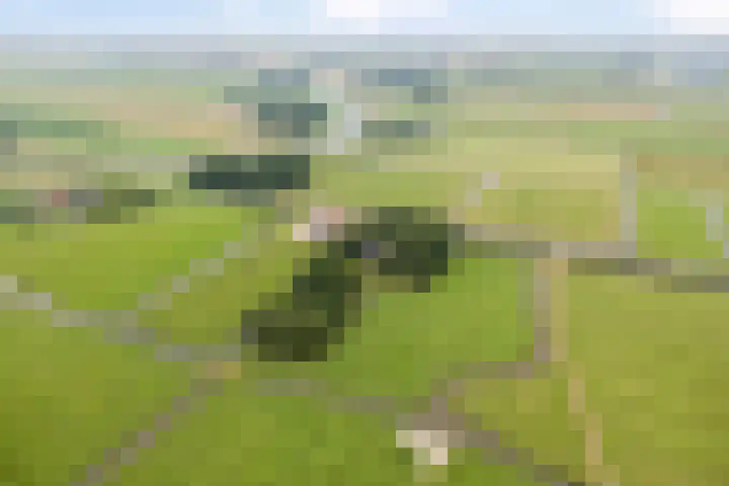 Korendijk 3 Driehuizen thumbnail 31