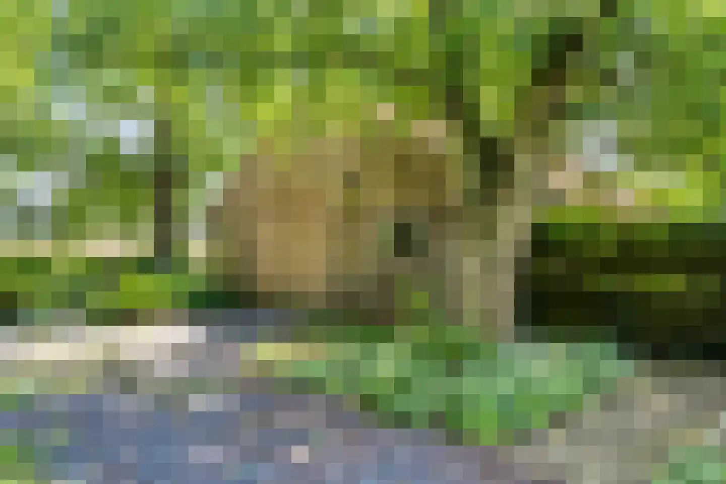 Korendijk 3 Driehuizen thumbnail 33