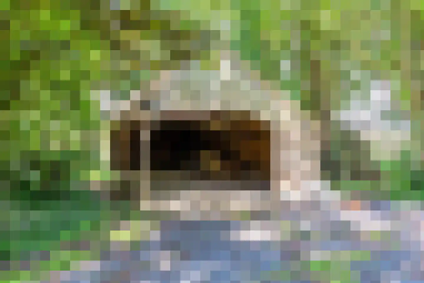 Korendijk 3 Driehuizen thumbnail 36