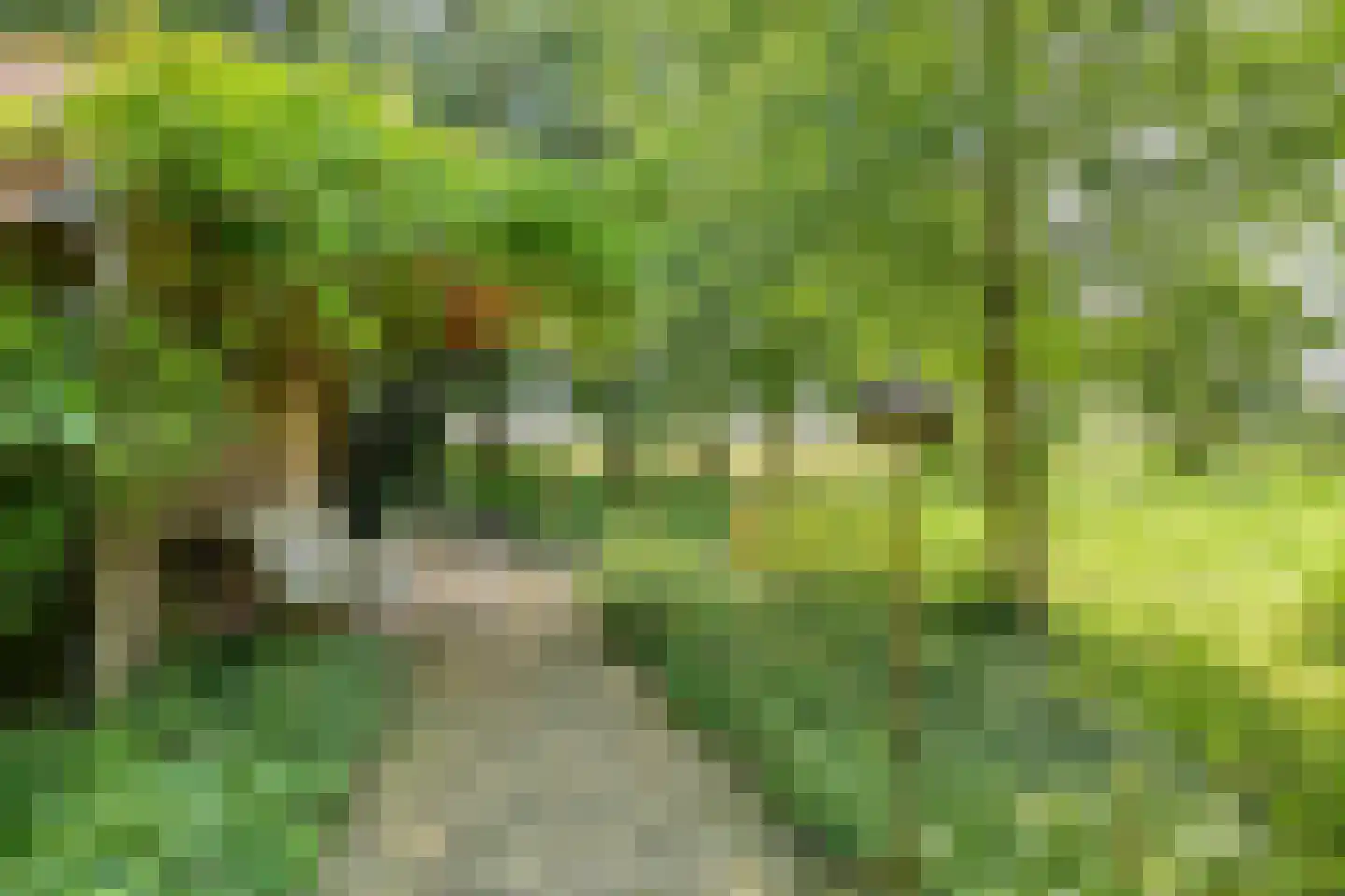 Korendijk 3 Driehuizen thumbnail 37