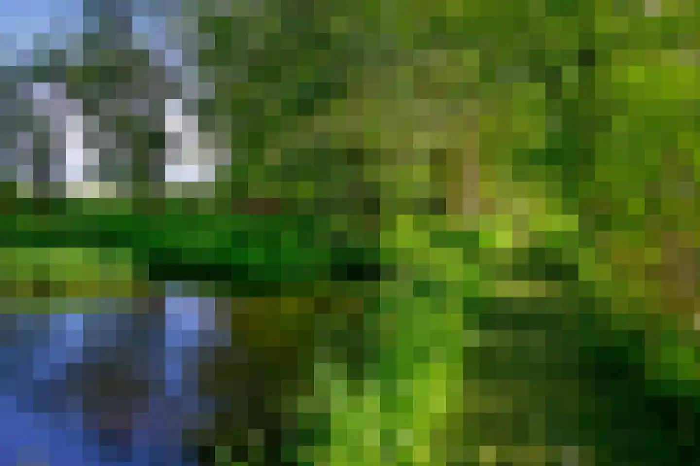 Korendijk 3 Driehuizen thumbnail 5