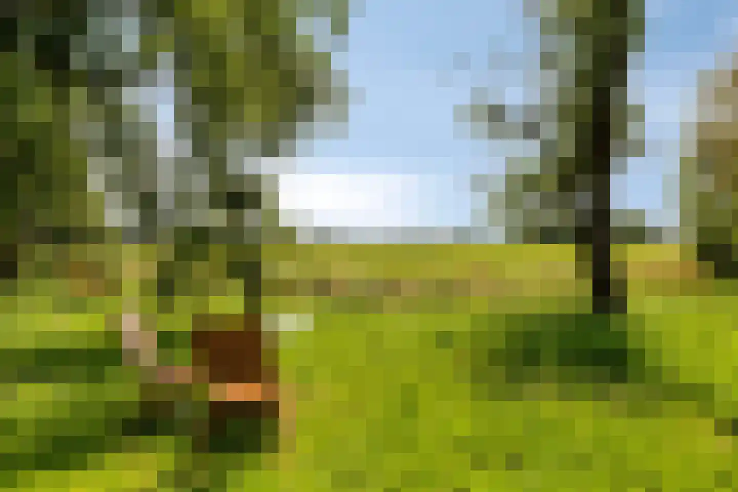 Korendijk 3 Driehuizen thumbnail 6