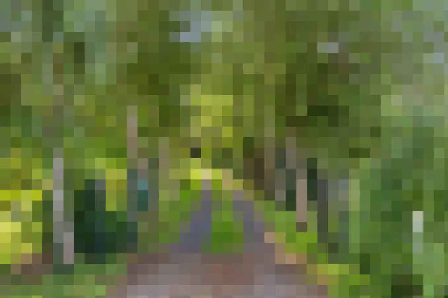 Korendijk 3 Driehuizen thumbnail 8