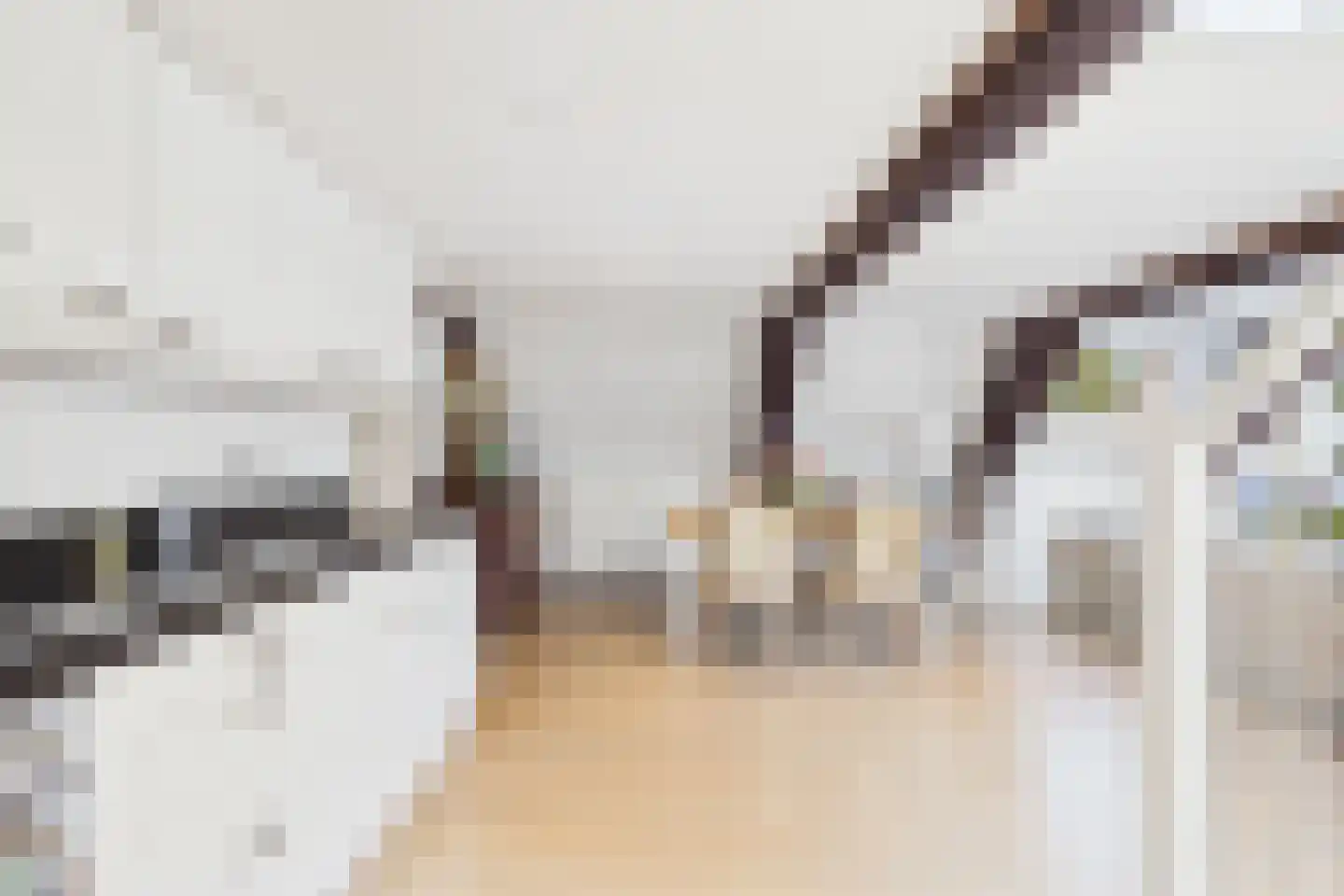 Korendijk 34 D Middelburg thumbnail 16
