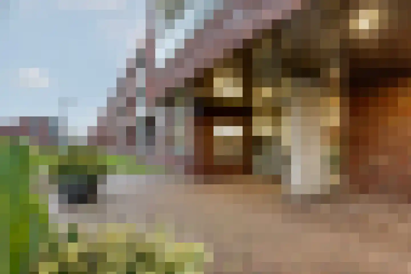 Korendijk 71 Rotterdam thumbnail 30