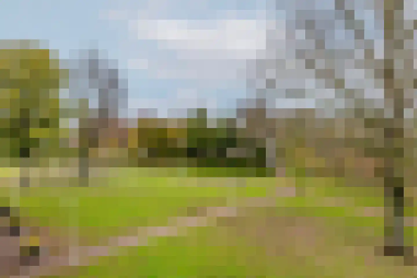 Korendijk 71 Rotterdam thumbnail 38