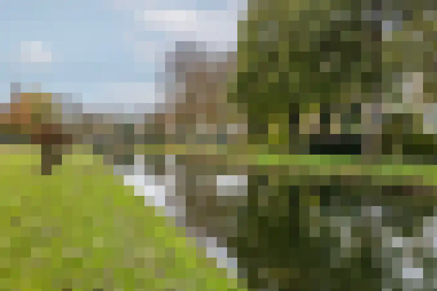 Korendijk 71 Rotterdam thumbnail 40