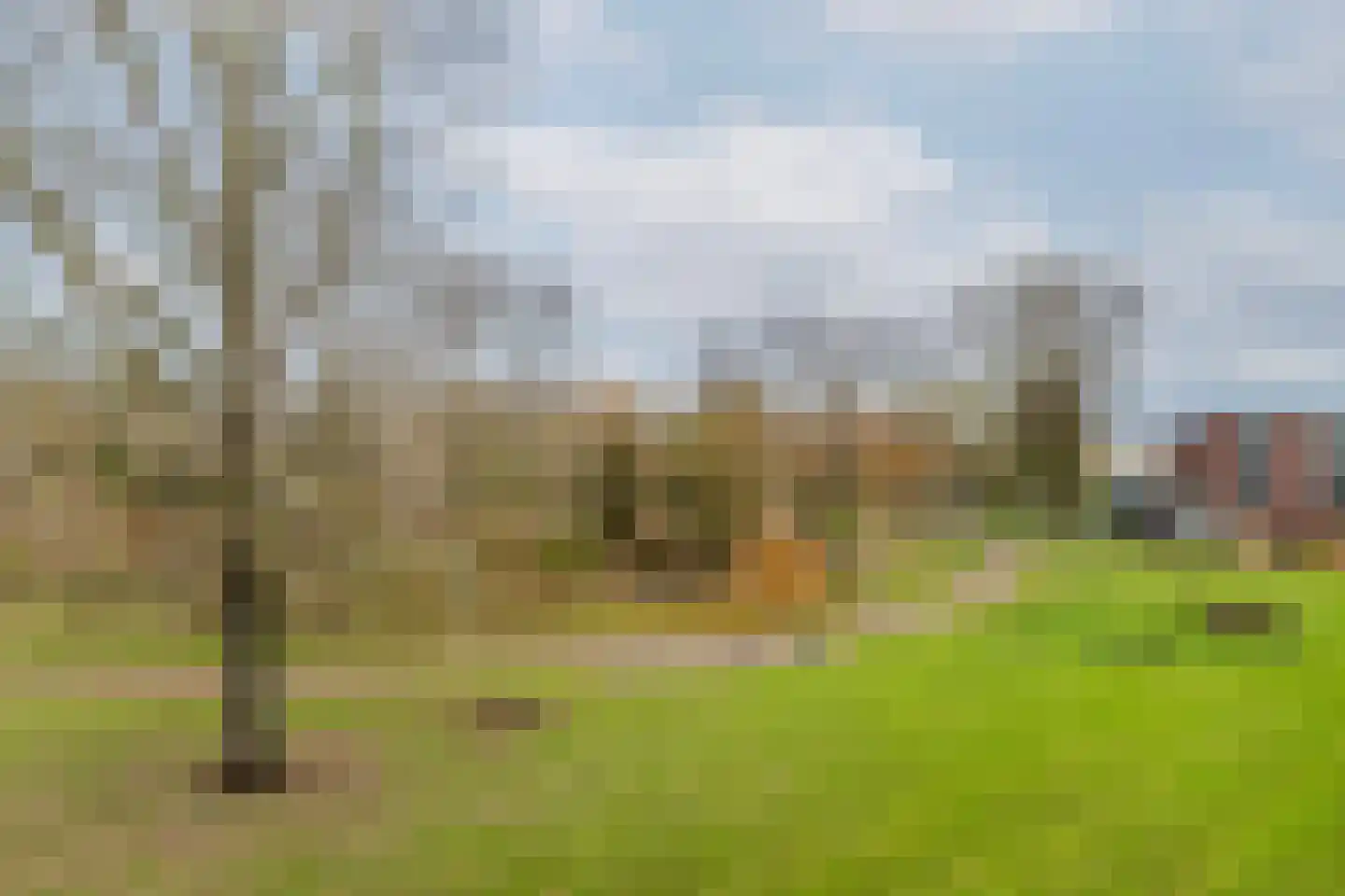 Korendijk 71 Rotterdam thumbnail 7