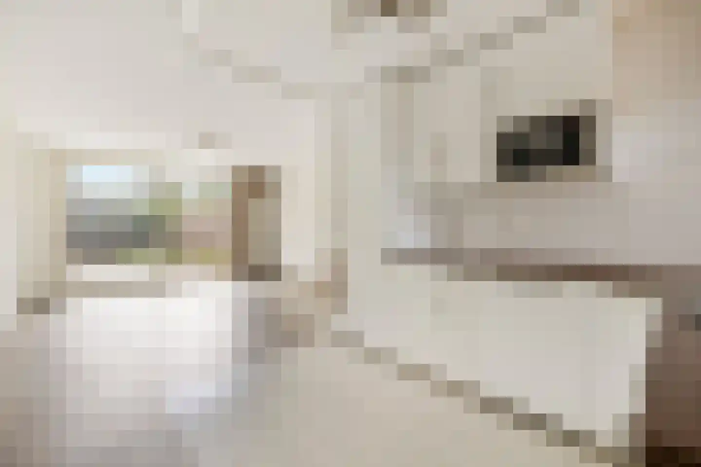 Korendragershof 18 Weesp thumbnail 8
