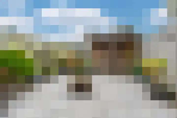 Korendragershof 8 Weesp thumbnail 36
