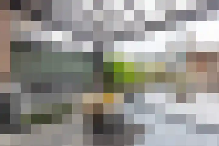 Korendragershof 8 Weesp thumbnail 38