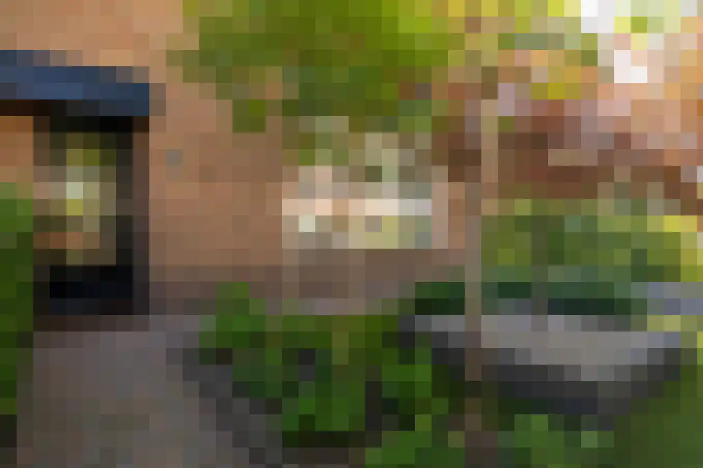 Korenerf 2 Elspeet thumbnail 11