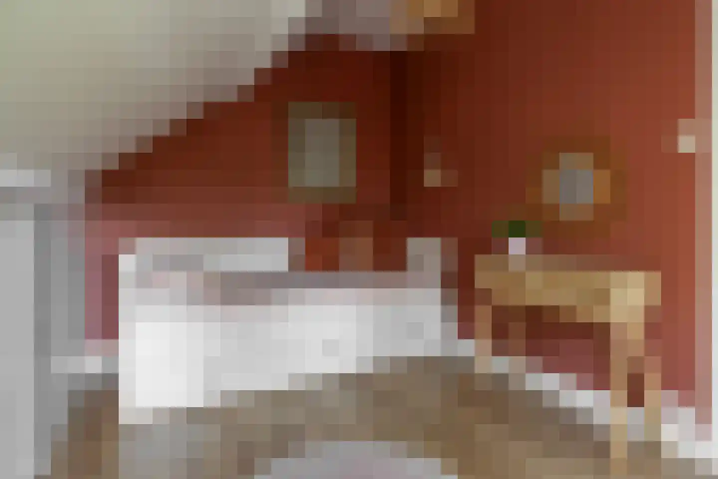 Korenerf 2 Elspeet thumbnail 36