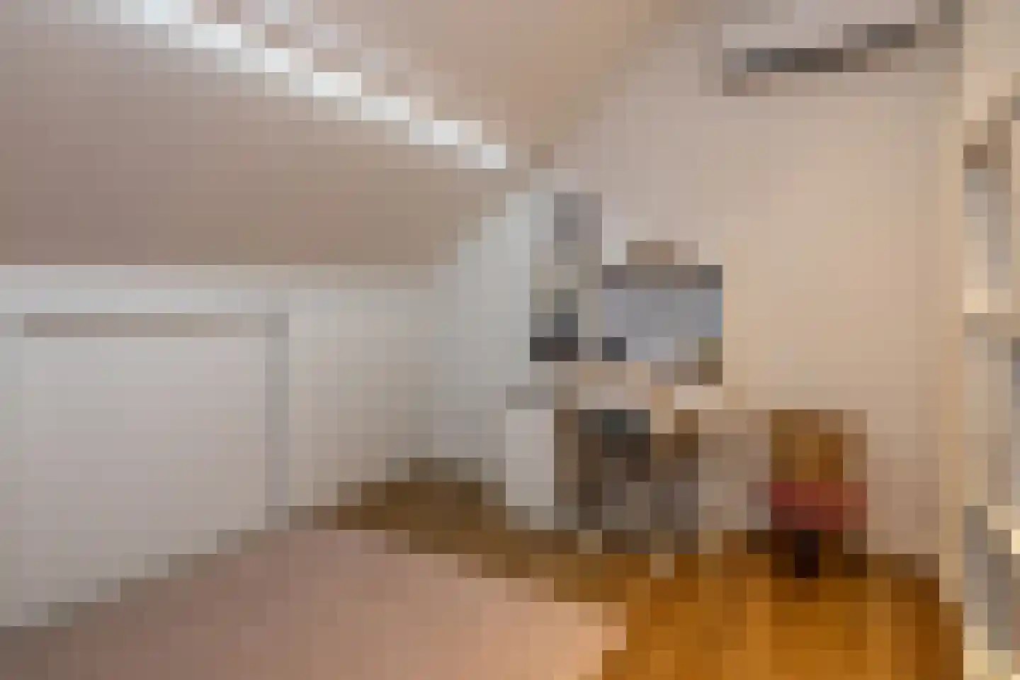 Korenerf 2 Elspeet thumbnail 37