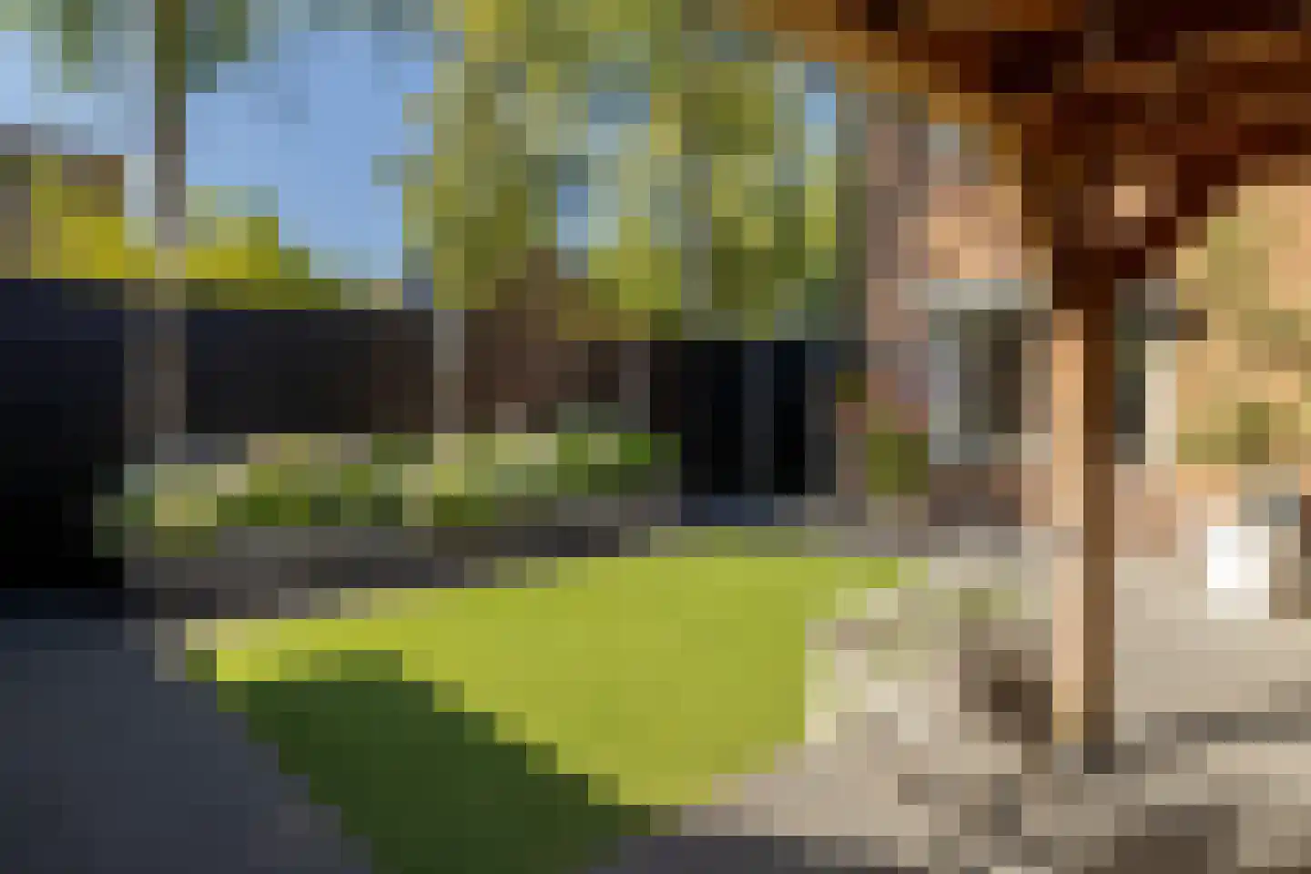 Korenerf 2 Elspeet thumbnail 39