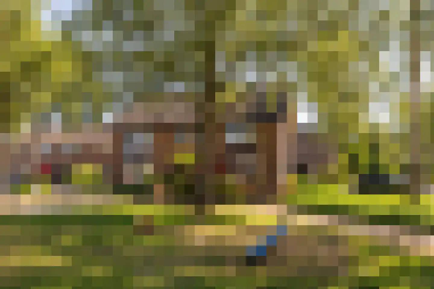 Korenerf 2 Elspeet thumbnail 4