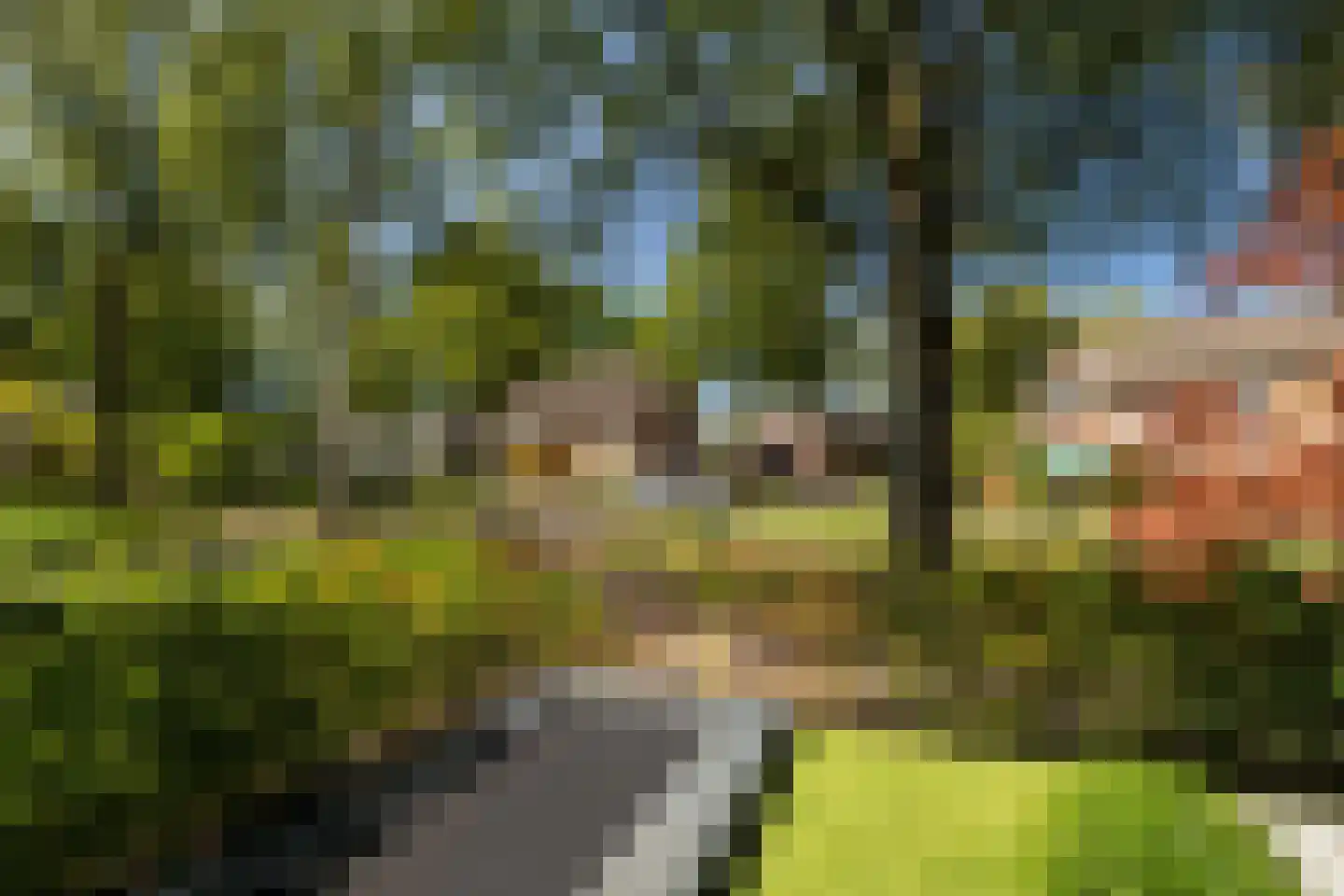 Korenerf 2 Elspeet thumbnail 6