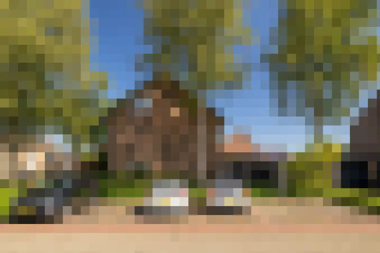 Korenerf 2 Elspeet thumbnail 9