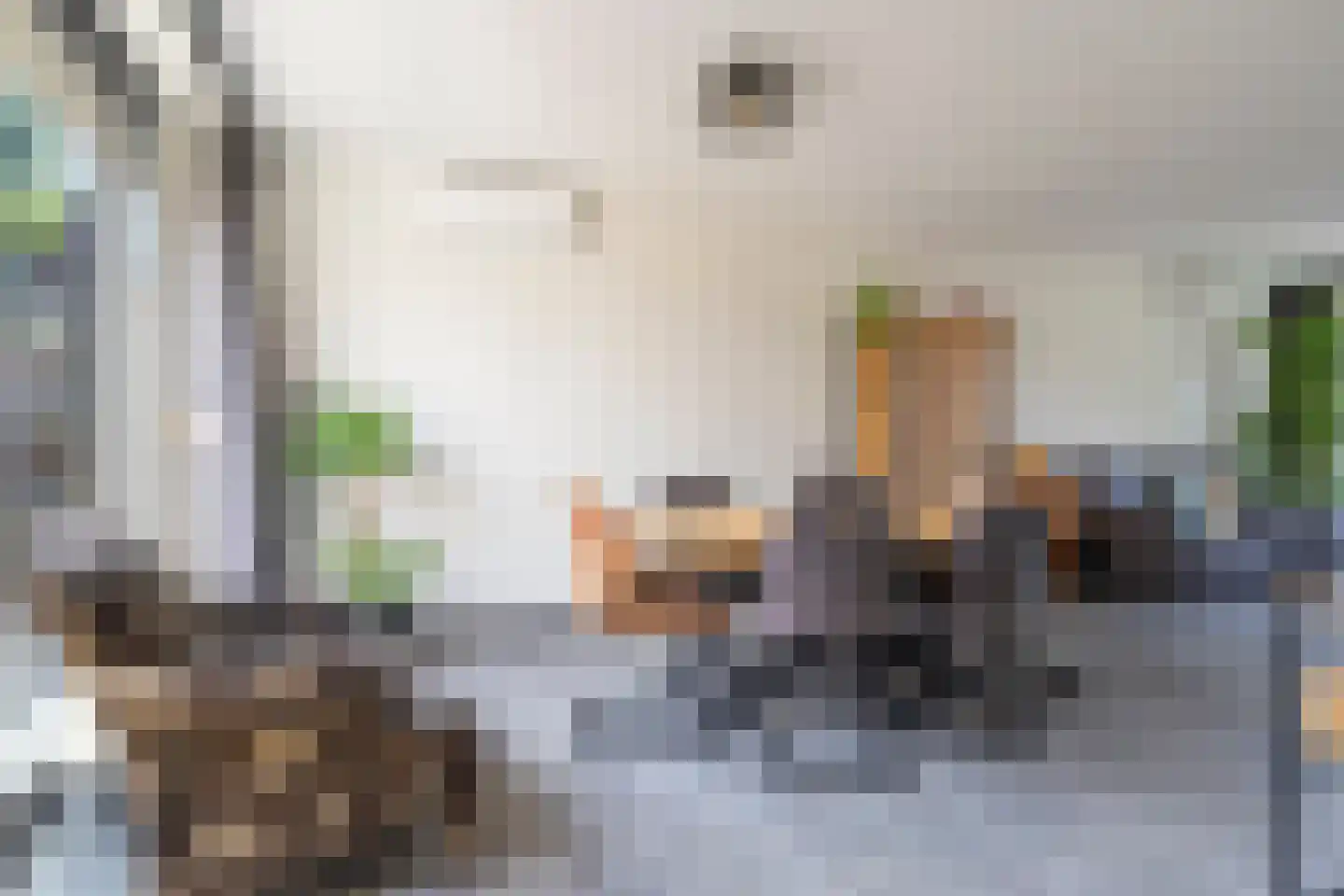 Korenhoek 10 Standdaarbuiten thumbnail 17