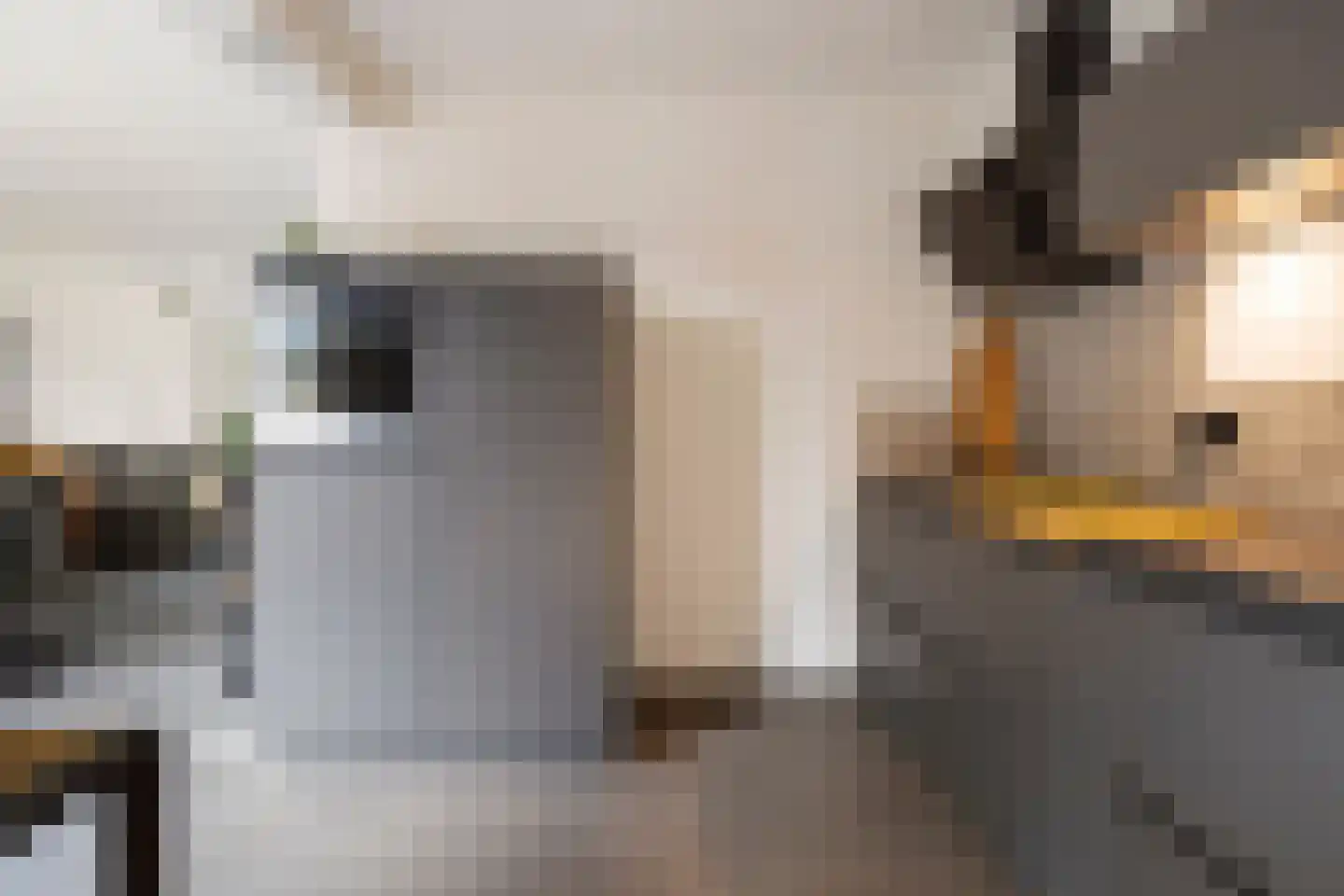 Korenhoek 10 Standdaarbuiten thumbnail 20