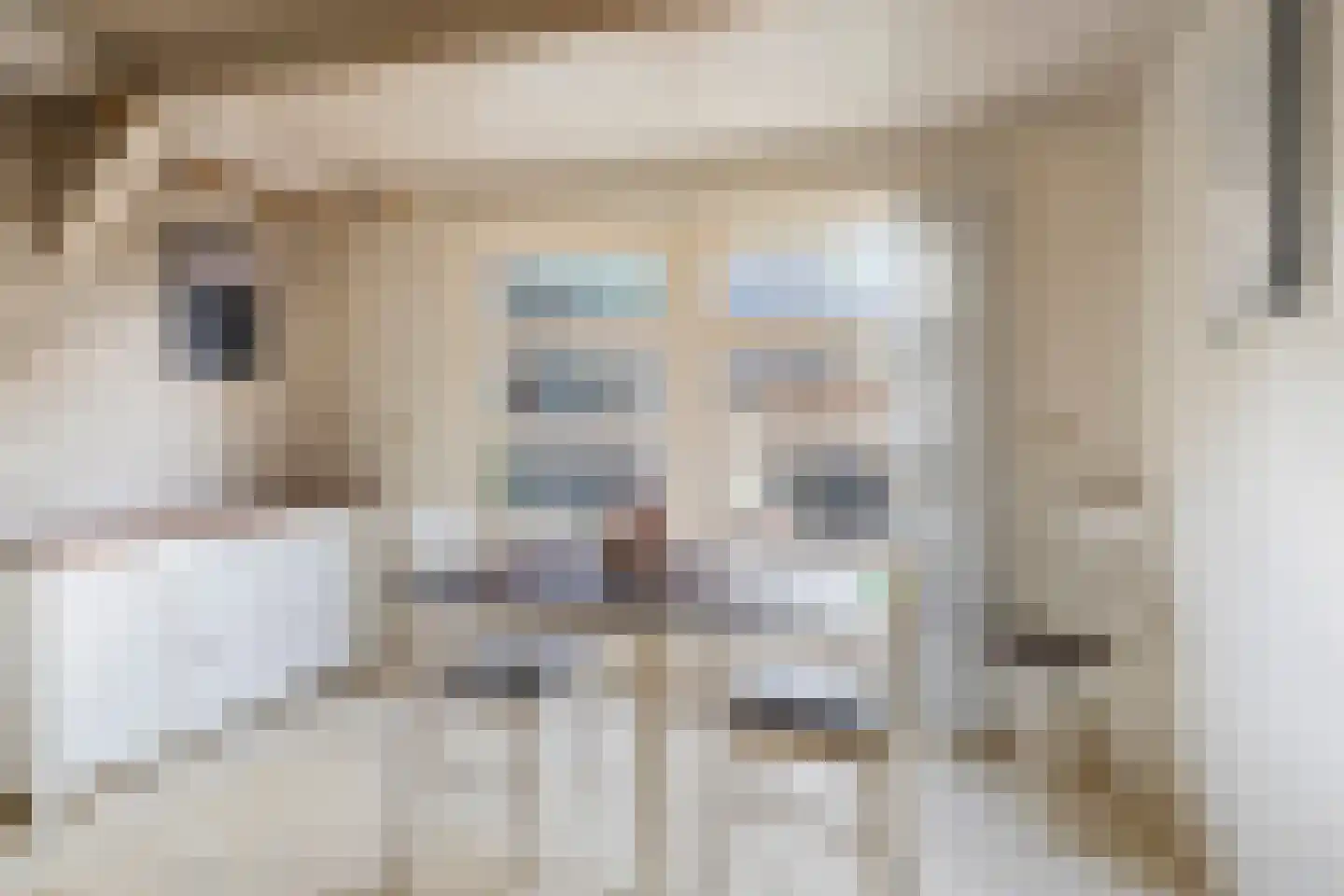 Korenhoek 10 Standdaarbuiten thumbnail 24