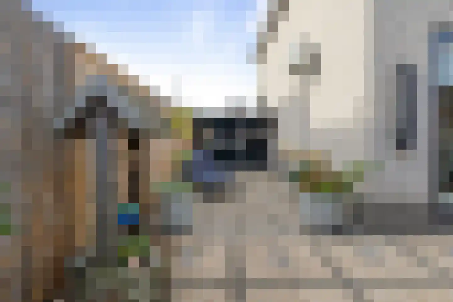 Korenhoek 10 Standdaarbuiten thumbnail 51