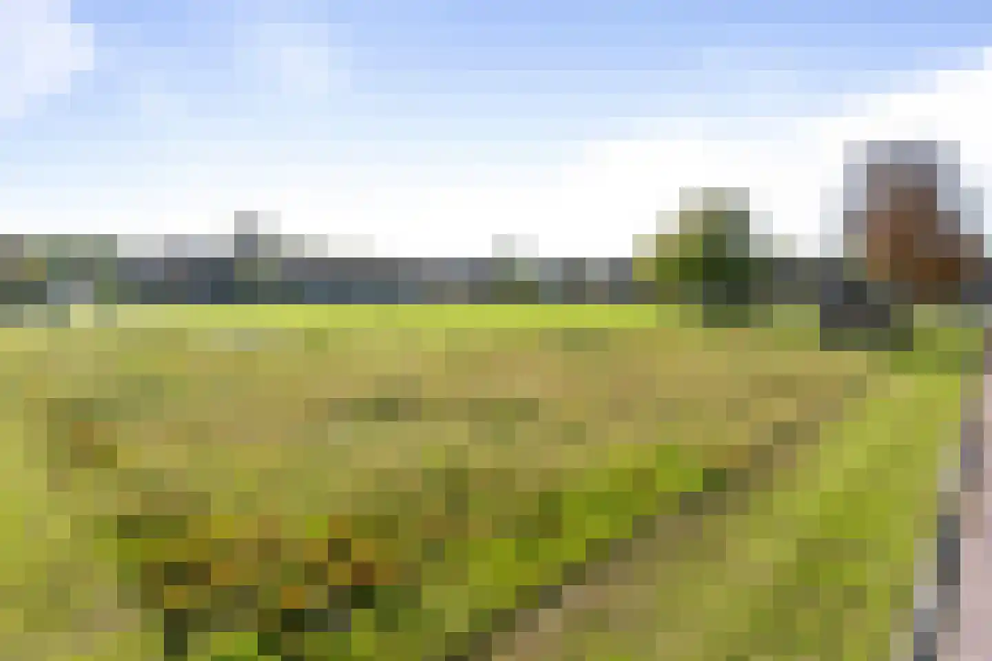Korenhoek 10 Standdaarbuiten thumbnail 60
