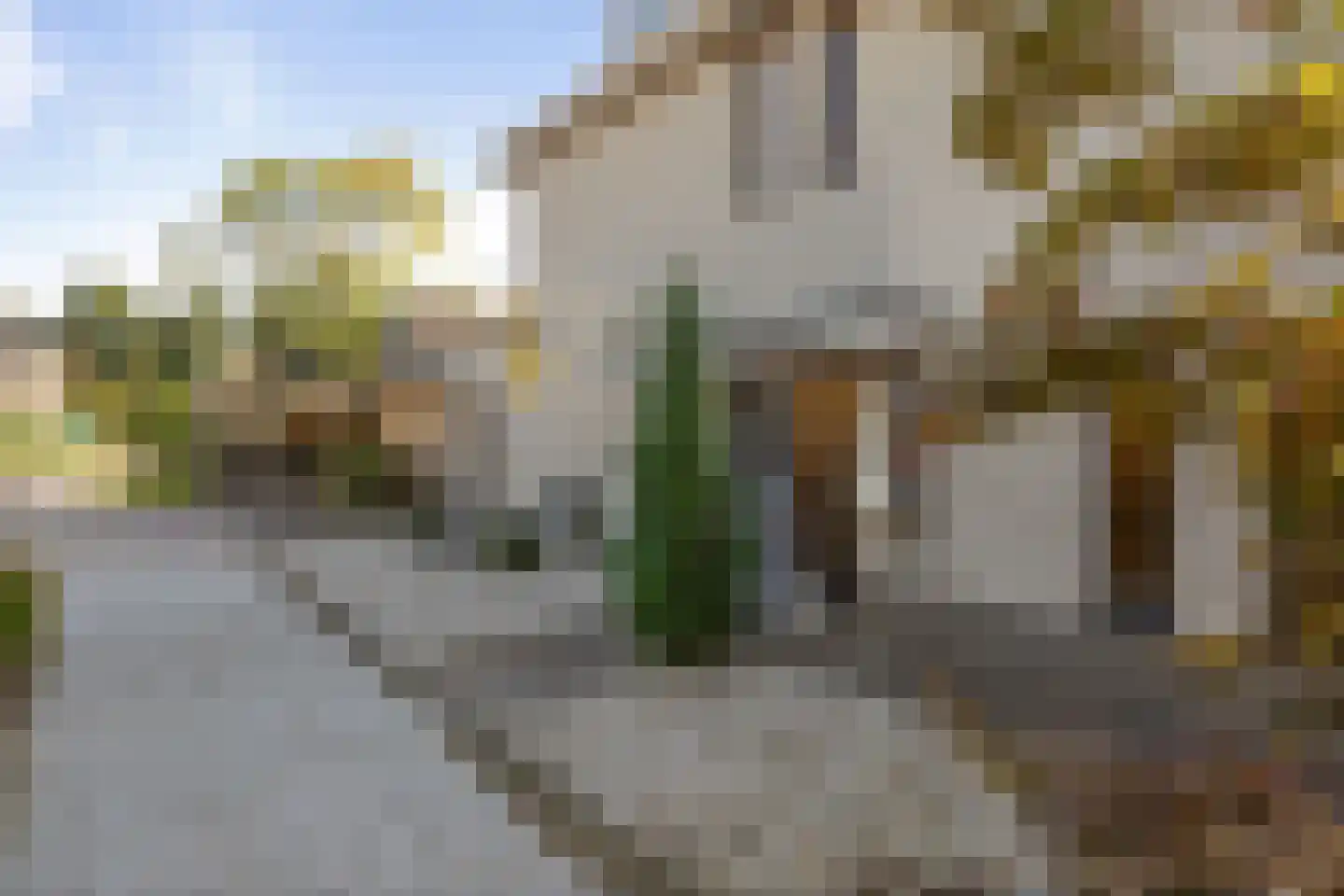Korenhoek 10 Standdaarbuiten thumbnail 8