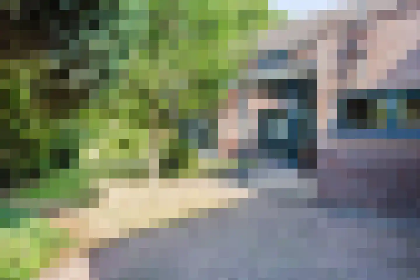 Korenhof 1 Heeze thumbnail 41