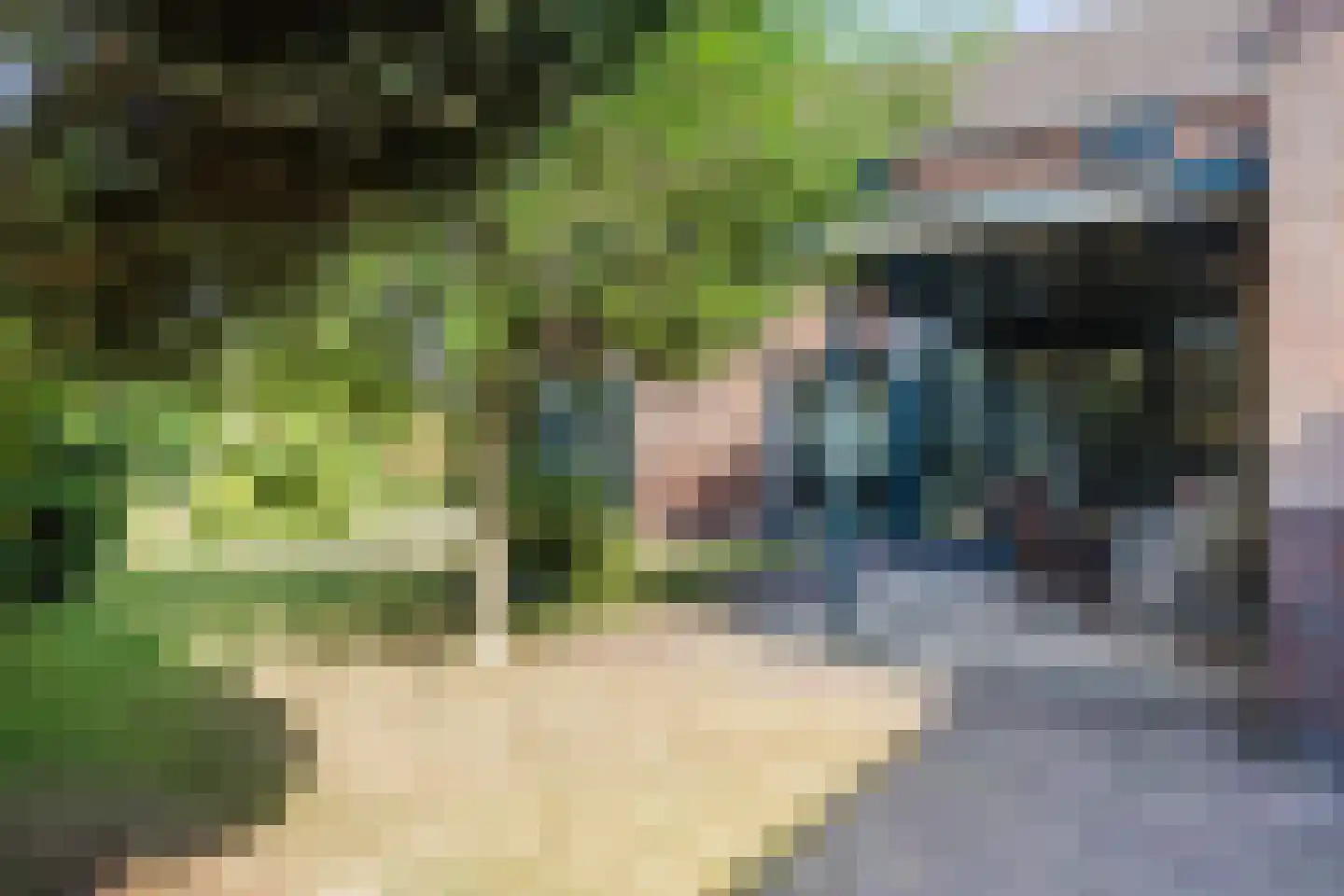 Korenhof 1 Heeze thumbnail 43