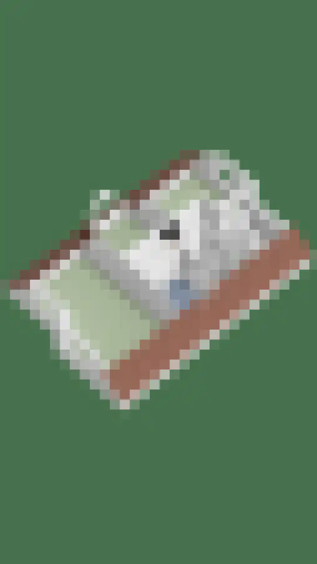 Korenkamp 47 Lettele thumbnail 48
