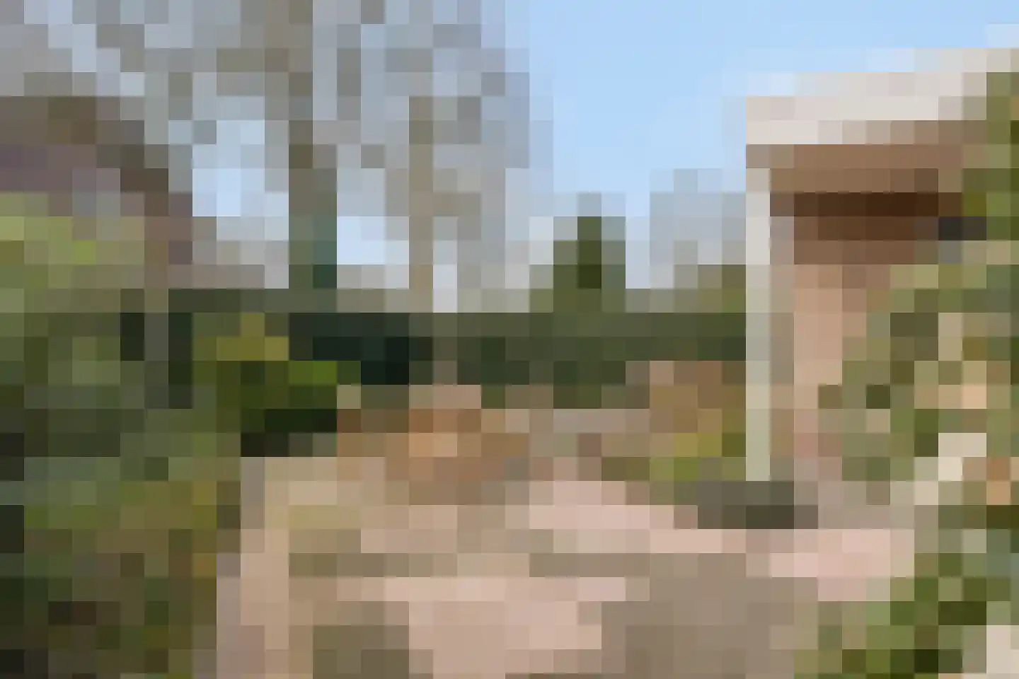 Korenkamp 47 Lettele thumbnail 6
