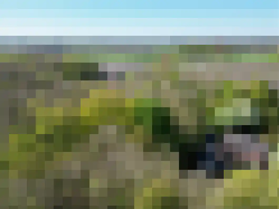 Korenlaan 21 Oude Pekela foto 2