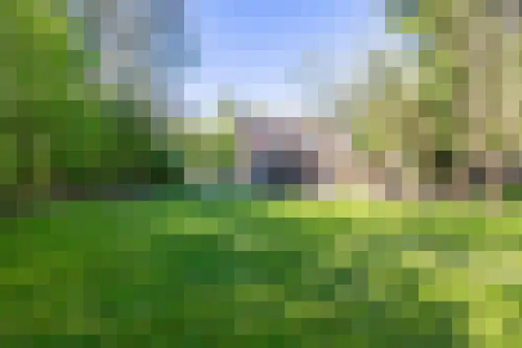 Korenlaan 21 Oude Pekela thumbnail 28