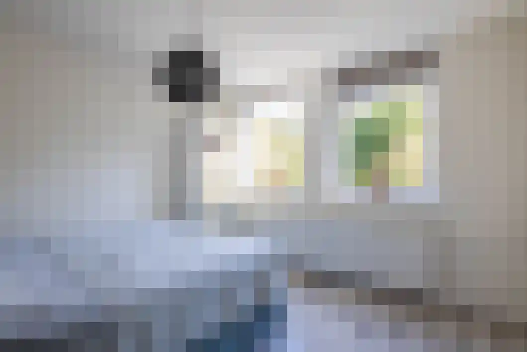 Korenlaan 21 Oude Pekela thumbnail 41