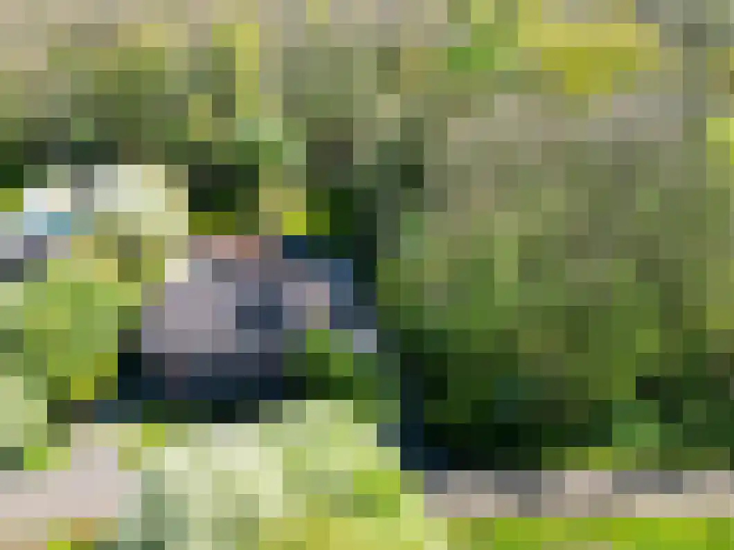 Korenlaan 21 Oude Pekela thumbnail 45