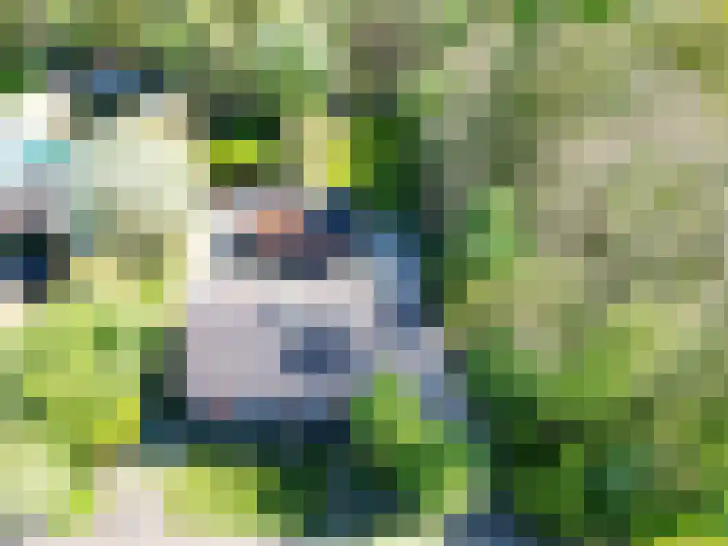 Korenlaan 21 Oude Pekela thumbnail 46