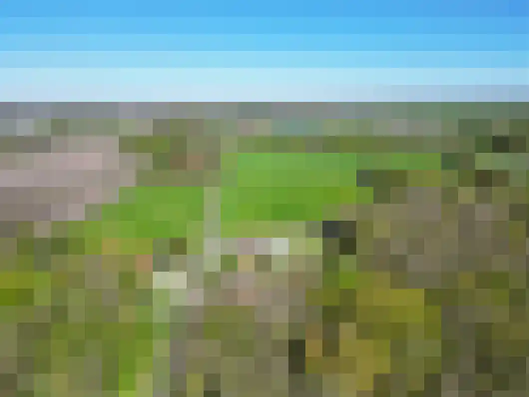 Korenlaan 21 Oude Pekela thumbnail 47