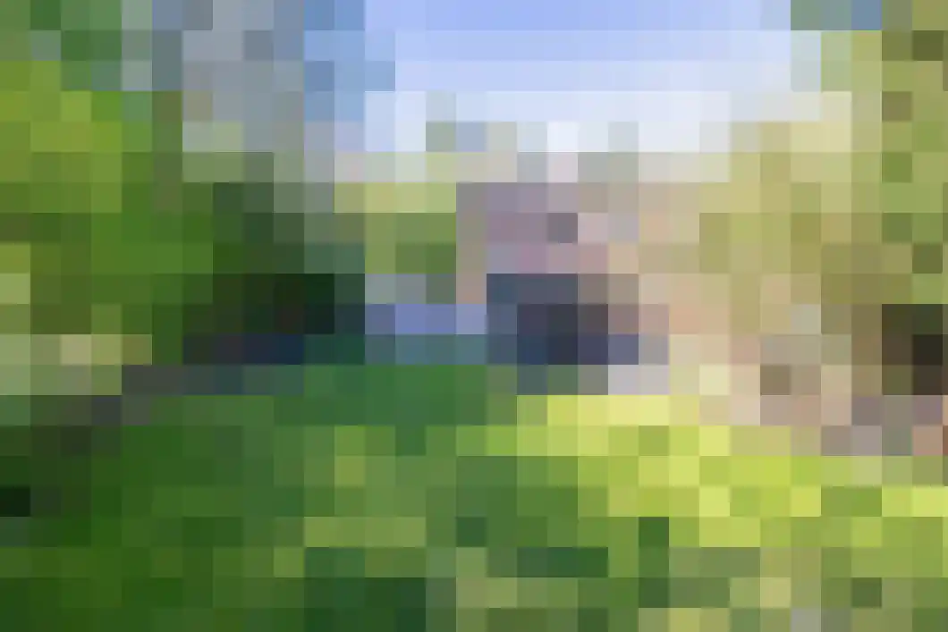 Korenlaan 21 Oude Pekela thumbnail 6