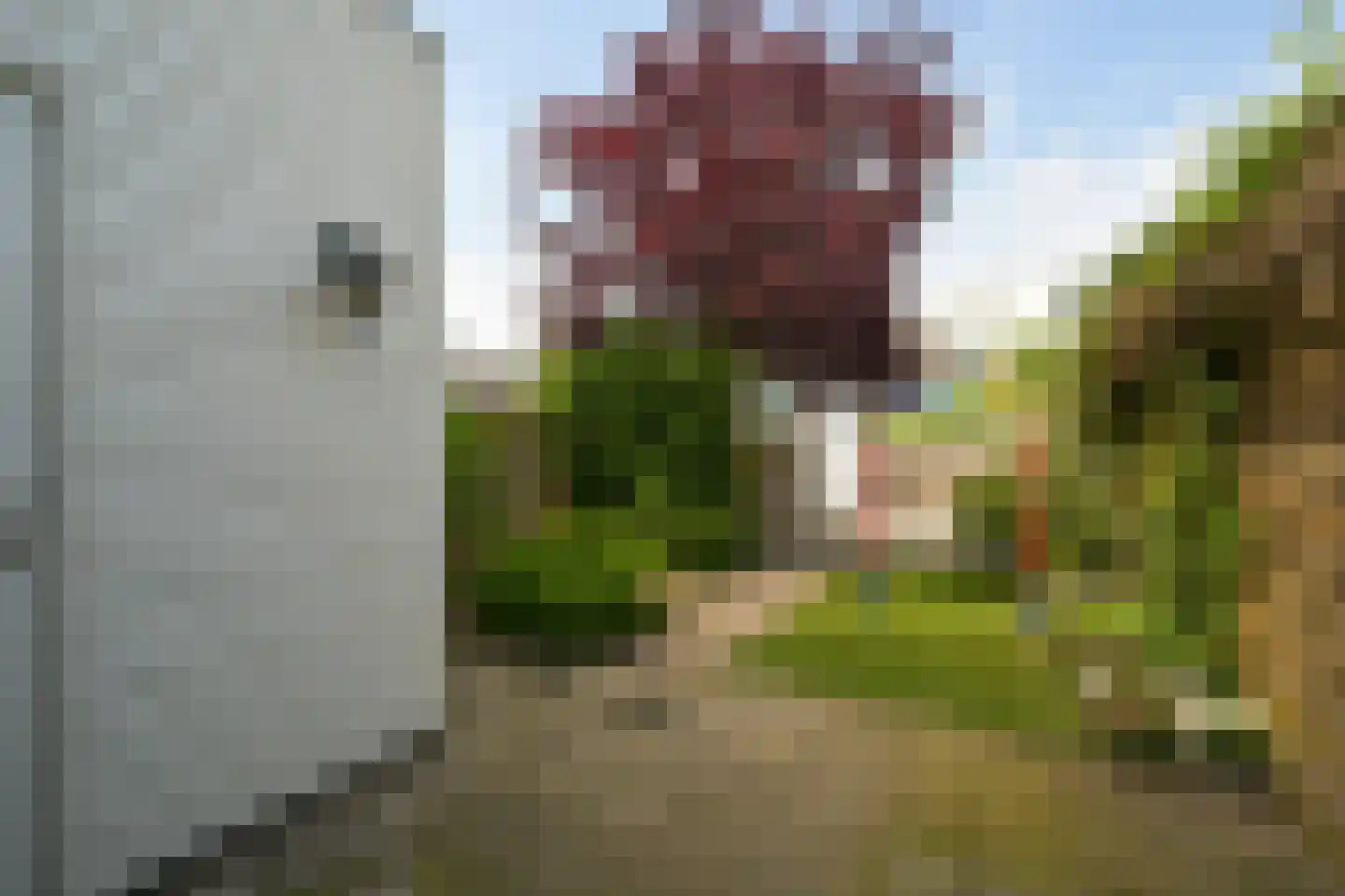 Korenlaan 3 Wassenaar thumbnail 18