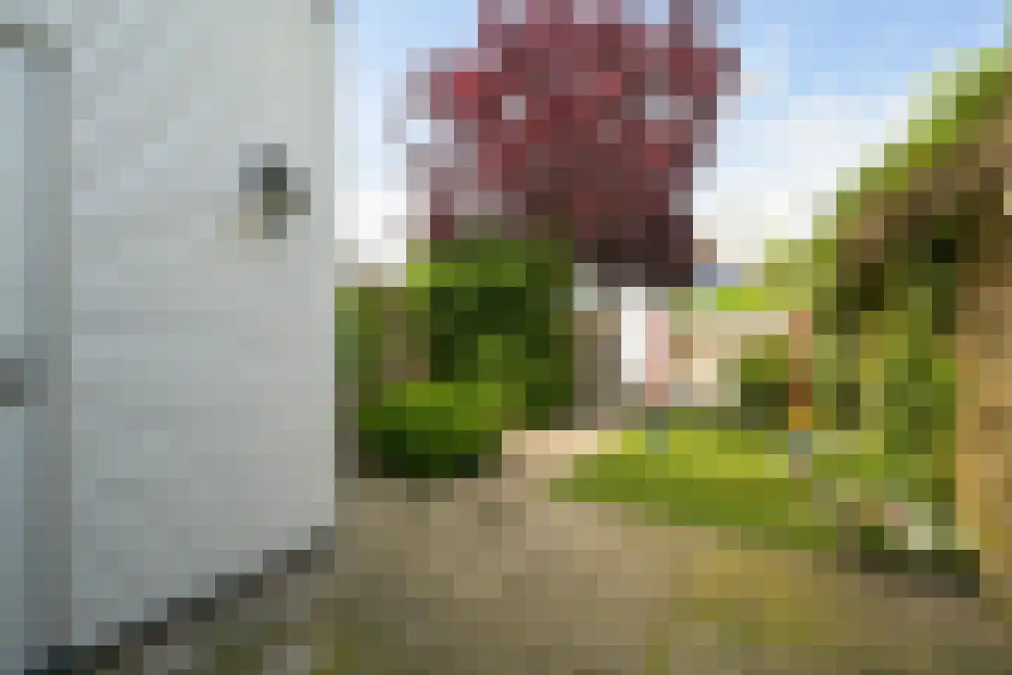 Korenlaan 3 Wassenaar thumbnail 19