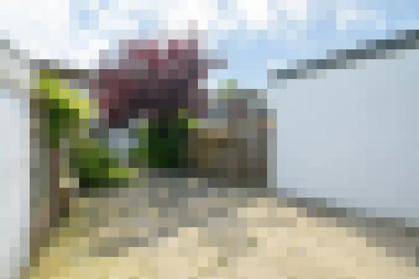 Korenlaan 3 Wassenaar thumbnail 23