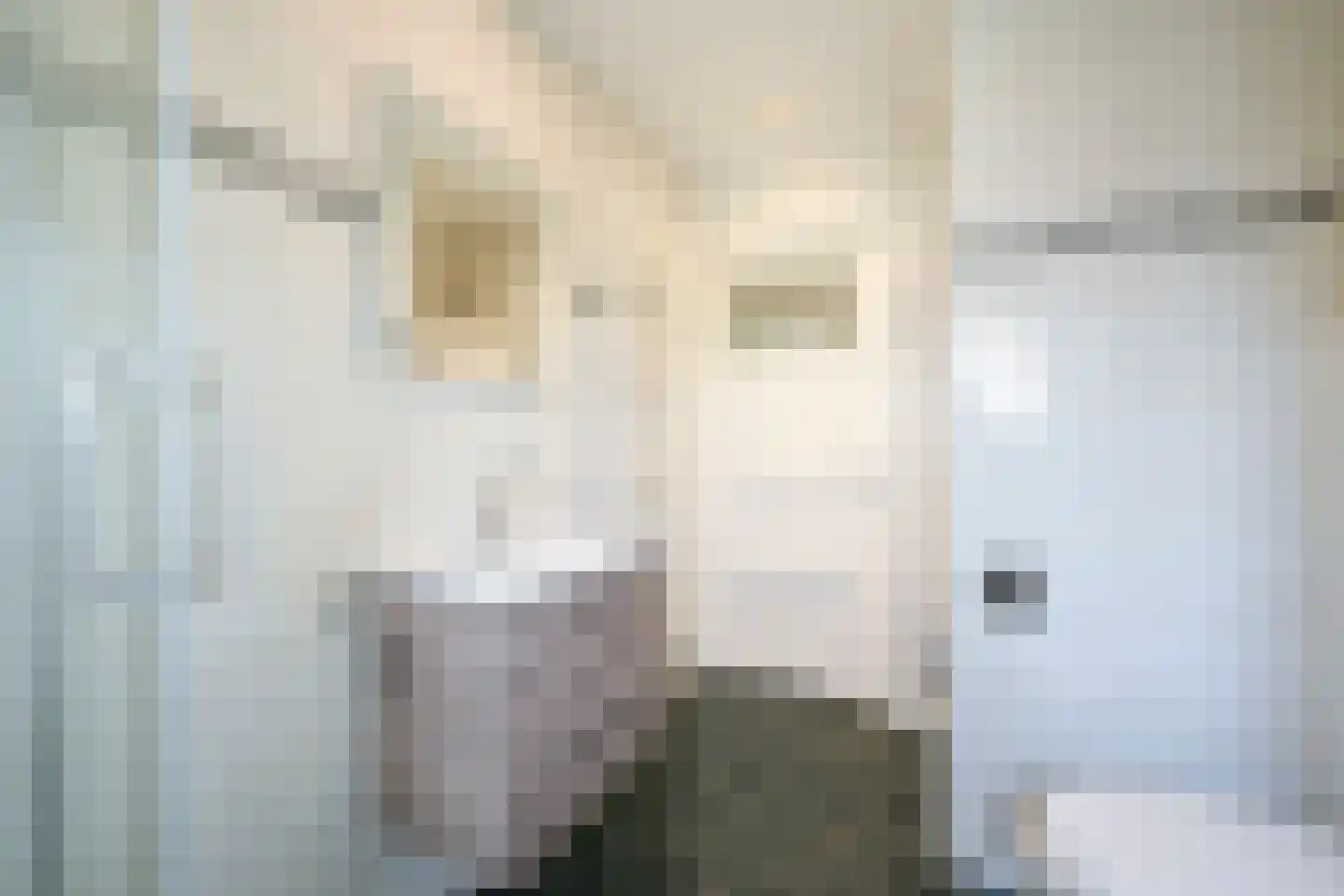 Korenlaan 3 Wassenaar thumbnail 39